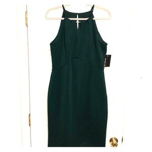 *NWT* Enfocus Studio dress